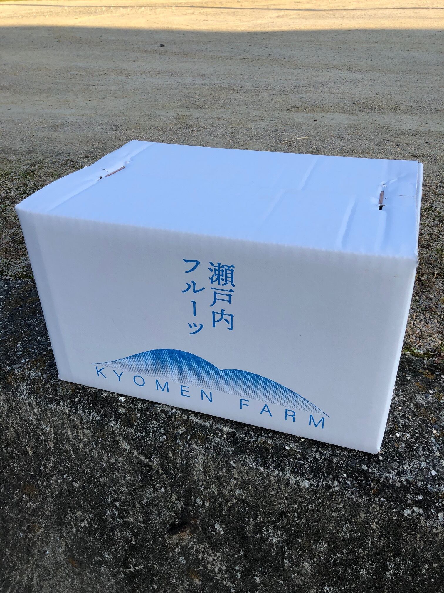 瀬戸内「グリーンレモン」 5kg ワックス・防腐剤不使用