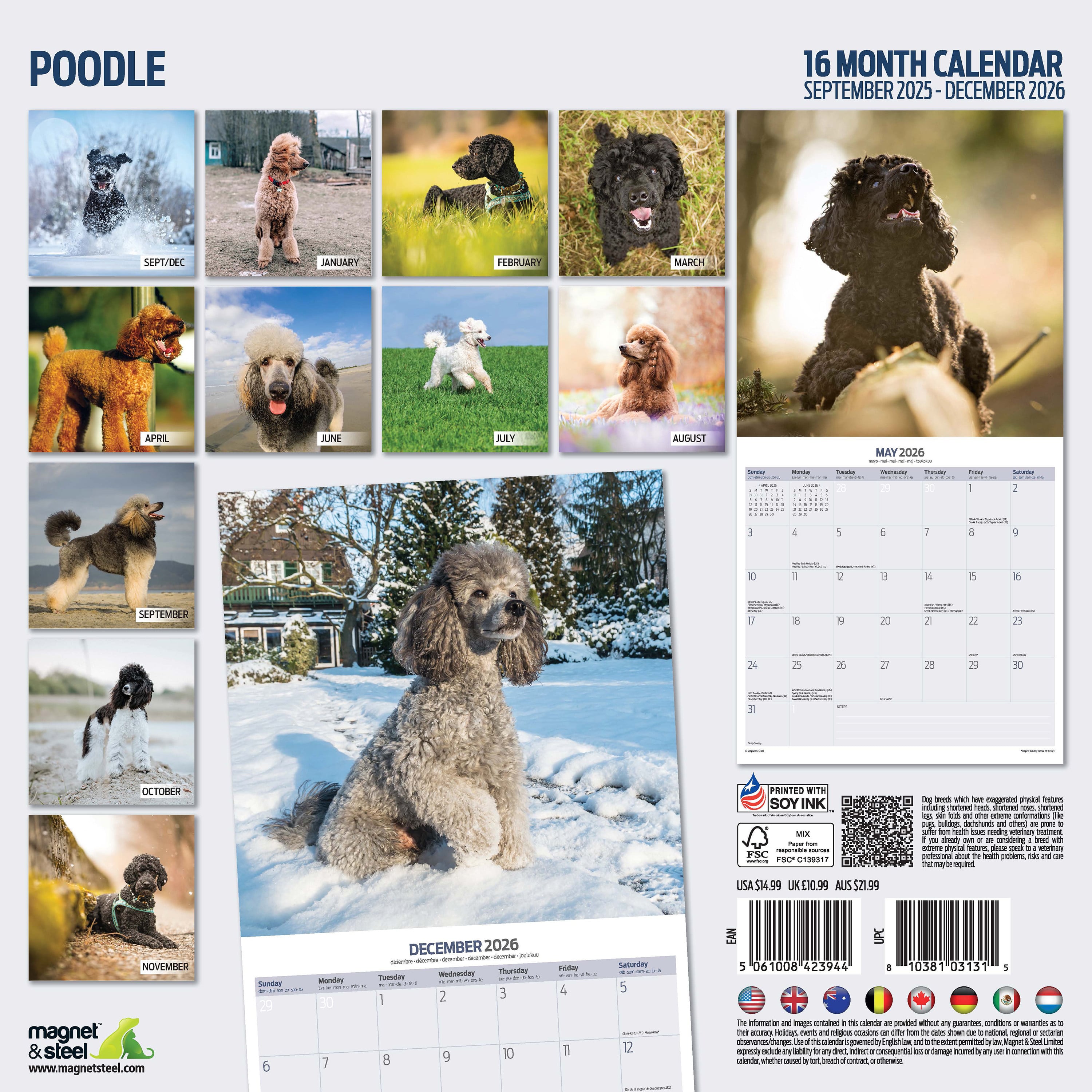 【2026年版】英国製犬種カレンダー【プードル Traditional】 2026年版