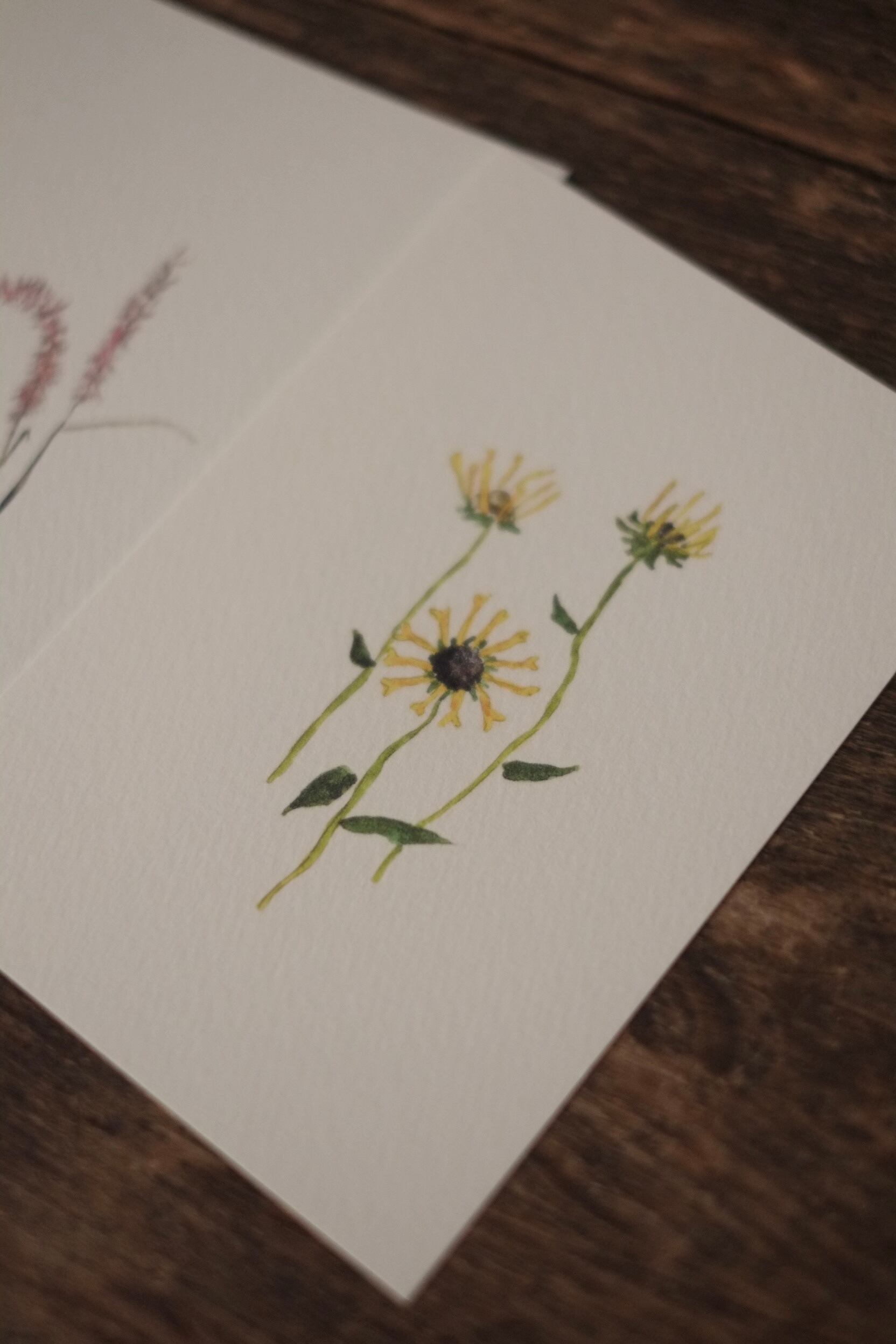 mure ×13 オリジナルポストカード③ | mure