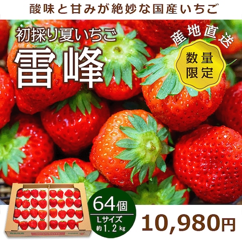 国産 夏いちご 雷峰 ４トレー Ｌサイズ 64個 約1.2㎏ 【クール便】