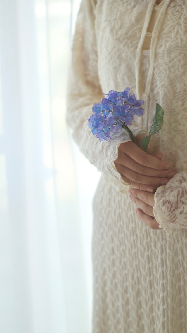 星空色の紫陽花