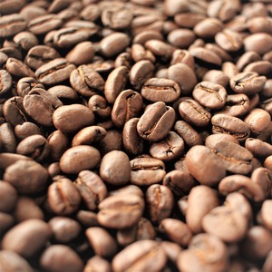 【ご自宅用コーヒー豆】一番人気コスタリカベジャビスタ農園 1kg(500g × 2袋)送料無料　挽きたて 珈琲豆 コーヒー 粉 豆のまま 中挽き 粗挽き coffee
