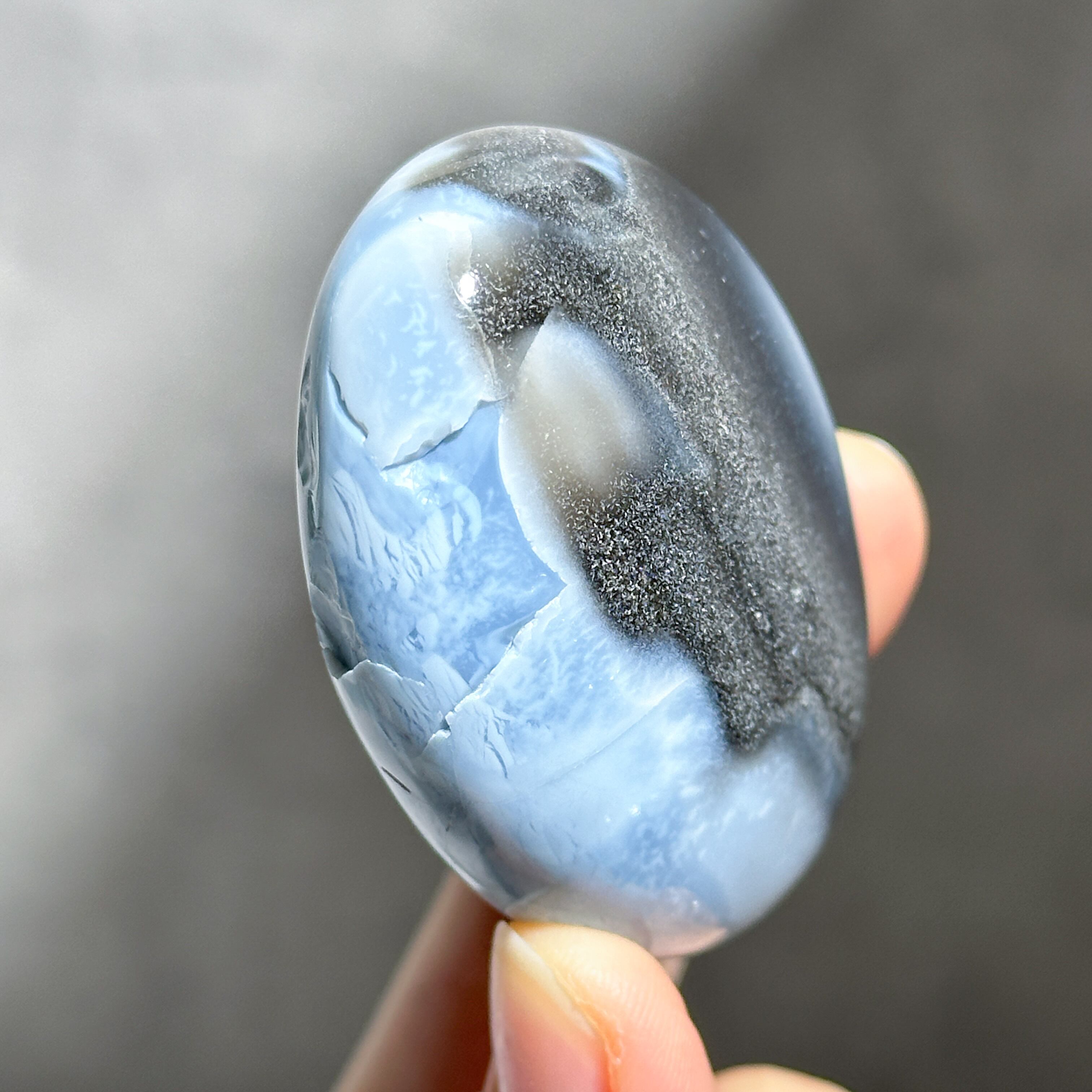 オオノマユミ　クリスタルブルー オオノマユミ クリスタルブルー