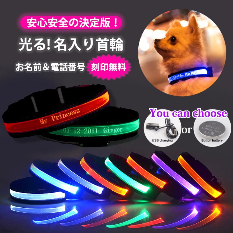 ペット用 セーフティライト お散歩ライト LED 犬 猫 グリーン