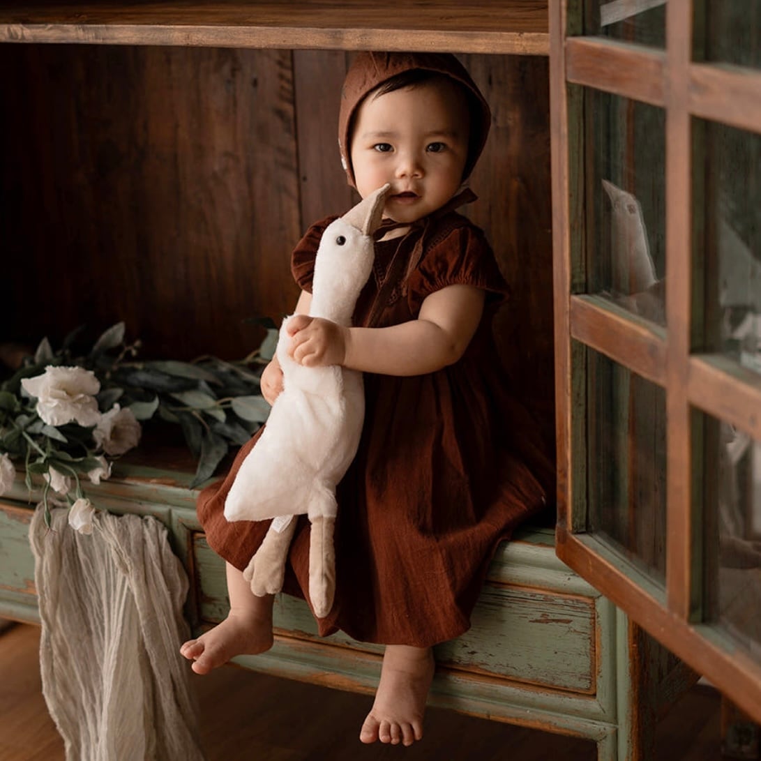 あひるファーストトイ(Sサイズ) | イブル&Baby Fabric LilyBlanc