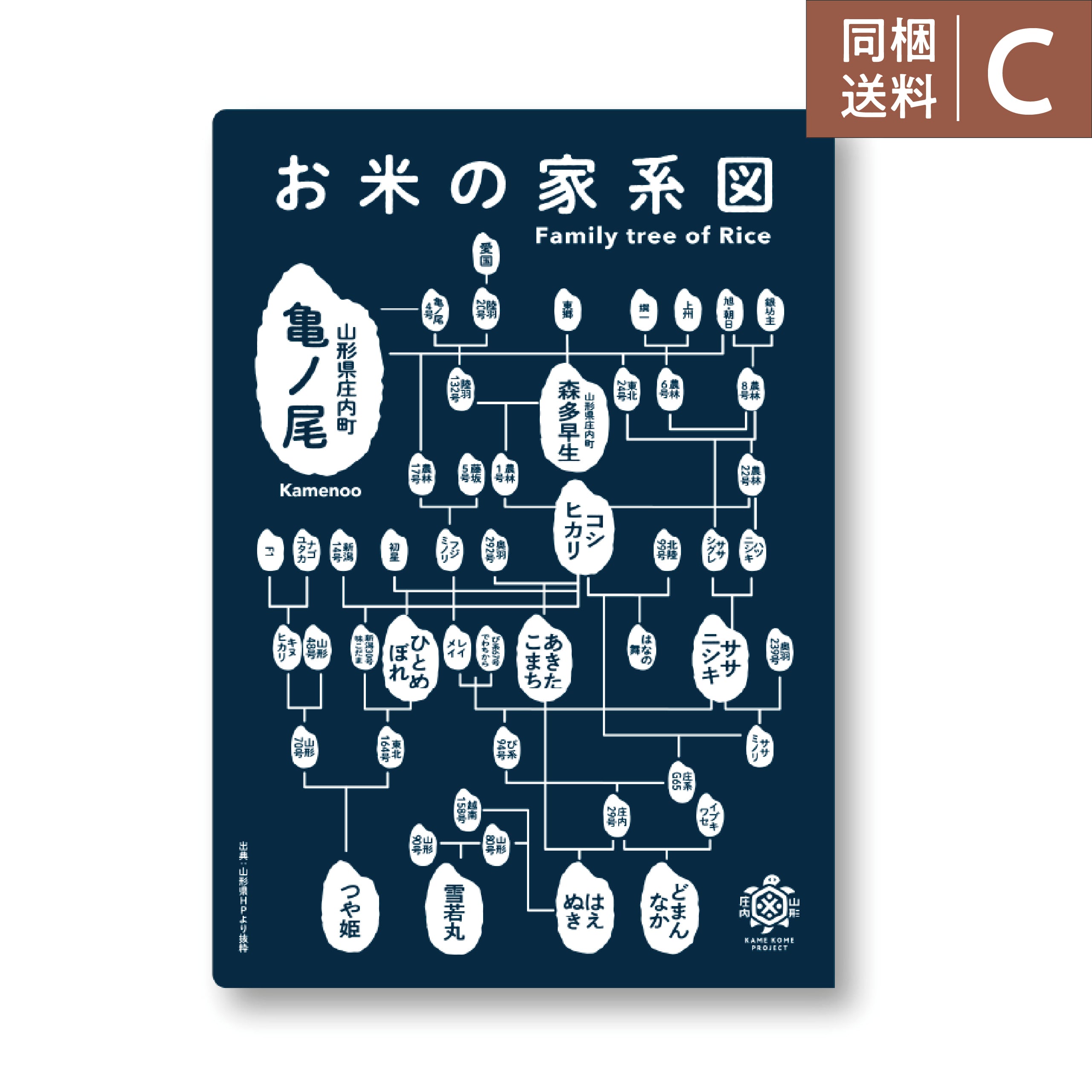 【山形】「お米の家系図」クリアファイル