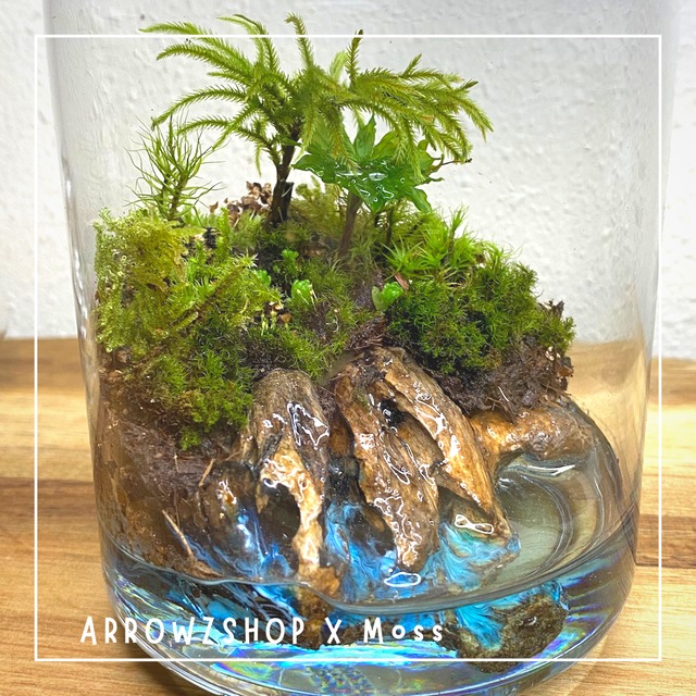 【moss02】苔テラリウム 苔アート テラリウム 苔と海　レジンアート　コケ
