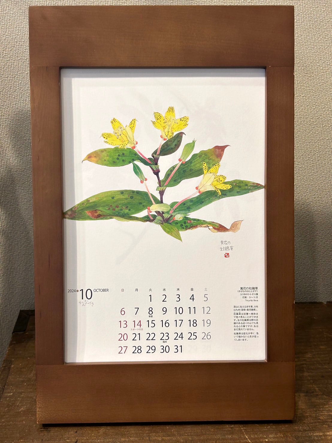カレンダー額｜A4専用 | 外山康雄 野の花館 オンラインショップ