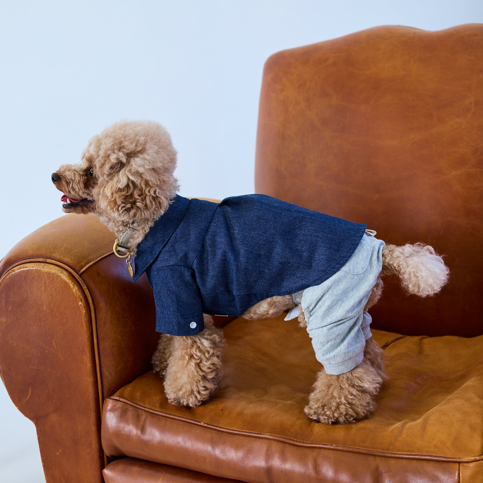 252501］デニムシャツ | 犬服ブランド 2e deuxieme cale | おしゃれな