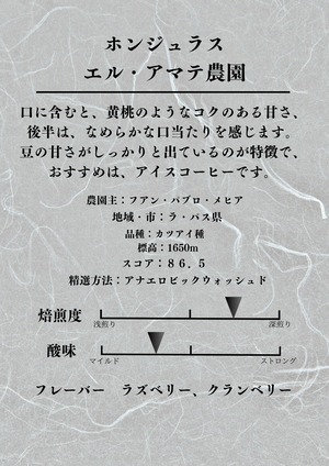 【豆】200g/ホンジュラス/エル・アマテ農園/中深煎り/クリックポスト
