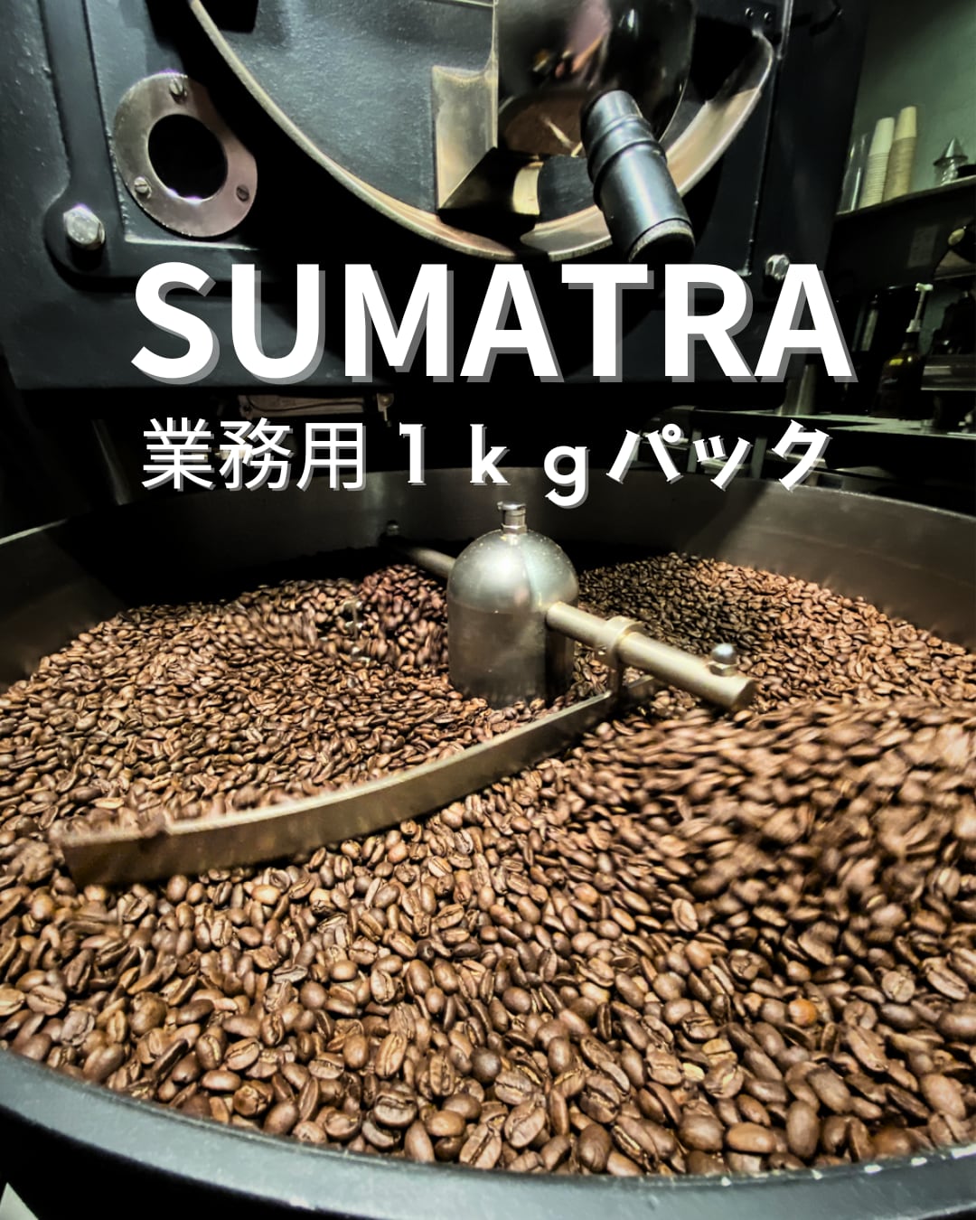 【業務用1kgパック】スマトラ タノバタック