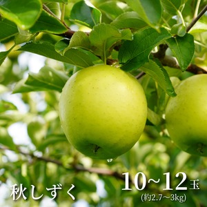 【雫のように滴る、ジューシーな果汁】佐々木さんちの「秋しずく」[10～12玉]秋田県横手市平鹿町産