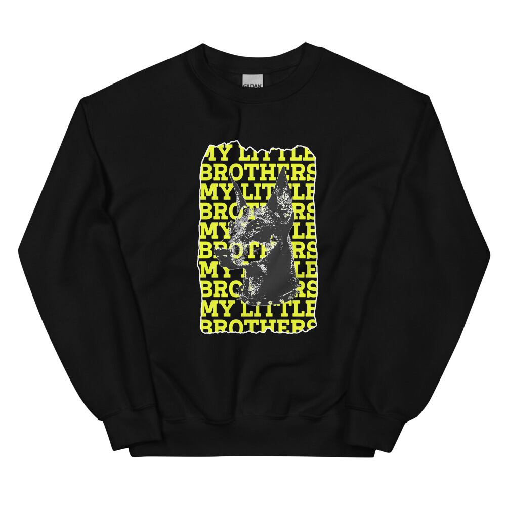 FLAGSTUFF フラッグスタッフ ロンT Tshirt ロングスリーブ | Pay ID