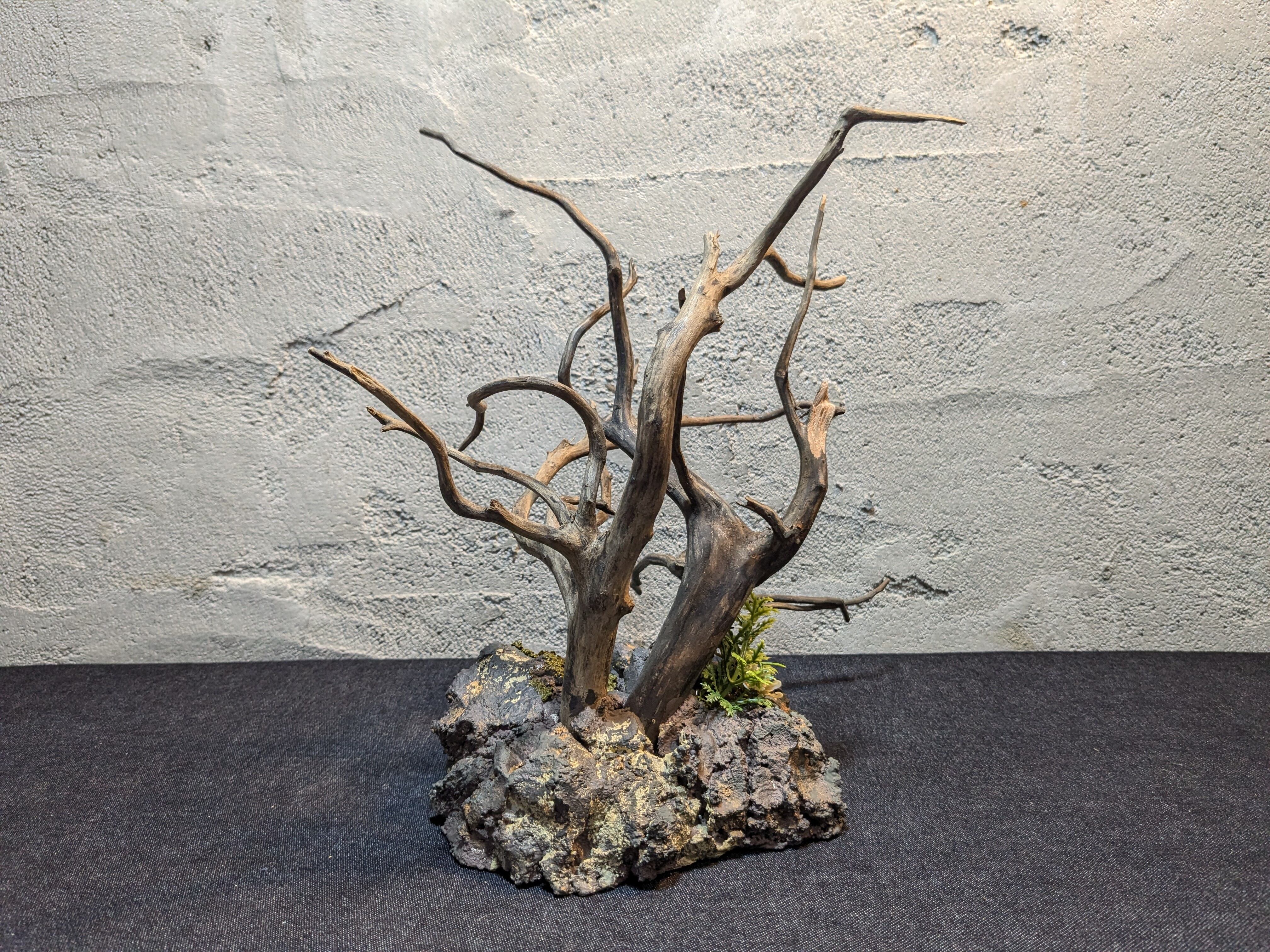 爬虫類用造形アート ともえ屋