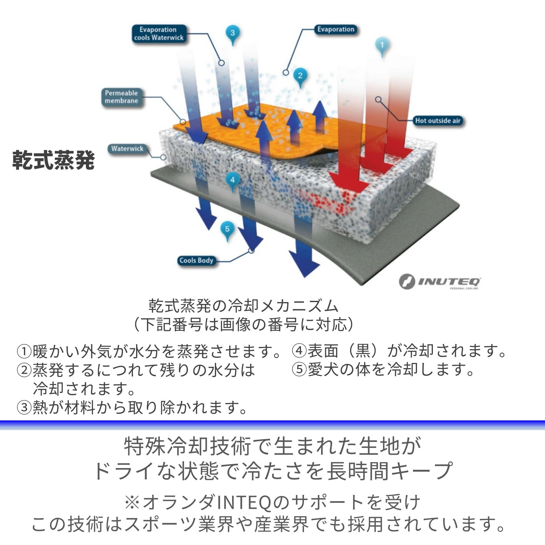 CANI COOL]カニクール クールコート Lサイズ【クールジャケット