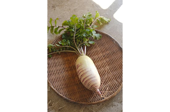 【個性派大根】糸巻大根・1本