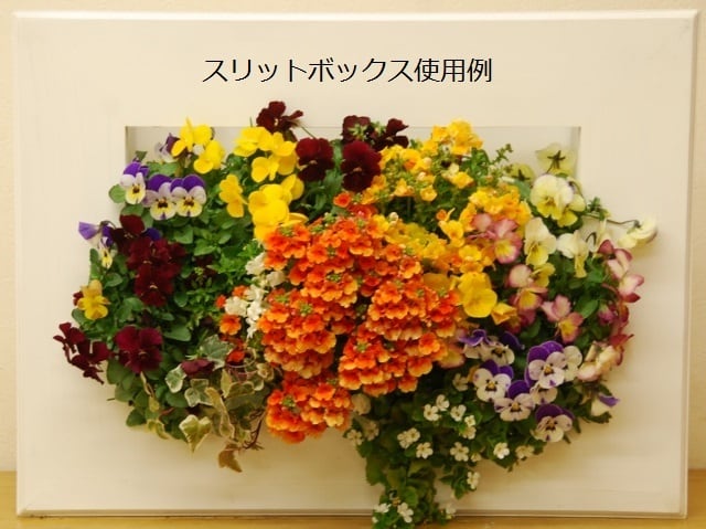 花はなフレーム 600型用スリットボックス | 花はなフレームのヤマジ園芸