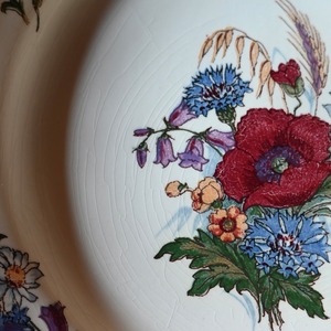 SARREGUEMINES  Plate / サルグミンヌ プレート〈 フランス食器・皿・花リム・フランスアンティーク・アンティークプレート・ブロカント・ヴィンテージ 〉113920