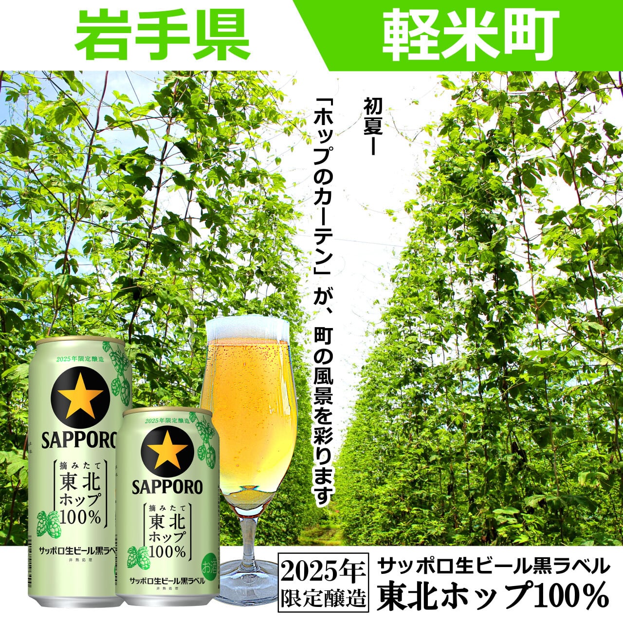 ホップ24枚入り 10/28発売／季節限定／エリア限定【2025年収穫軽米町産ホップ使用