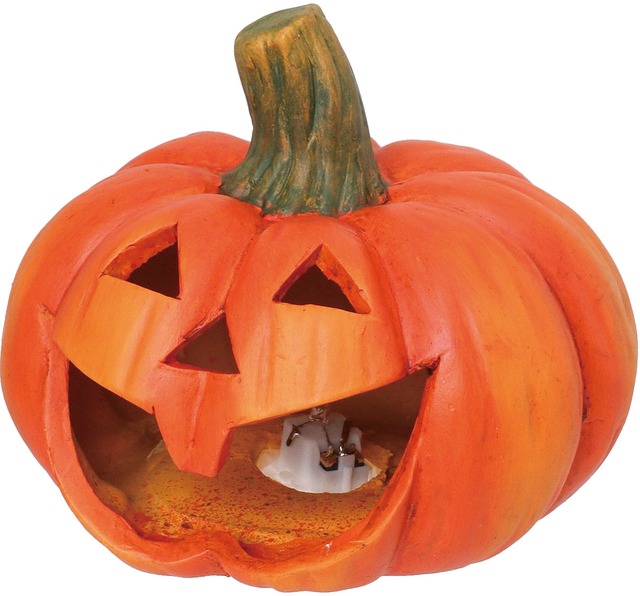 ワイドパンプキンライト　HW-1602　4961823507779