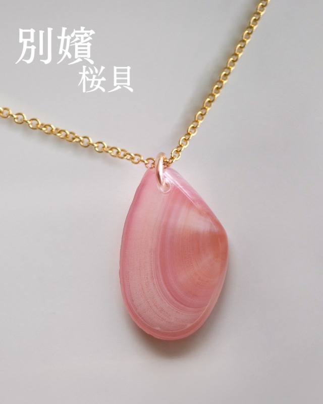 【別嬪桜貝】さくらひとえ ネックレス モモノハナガイ