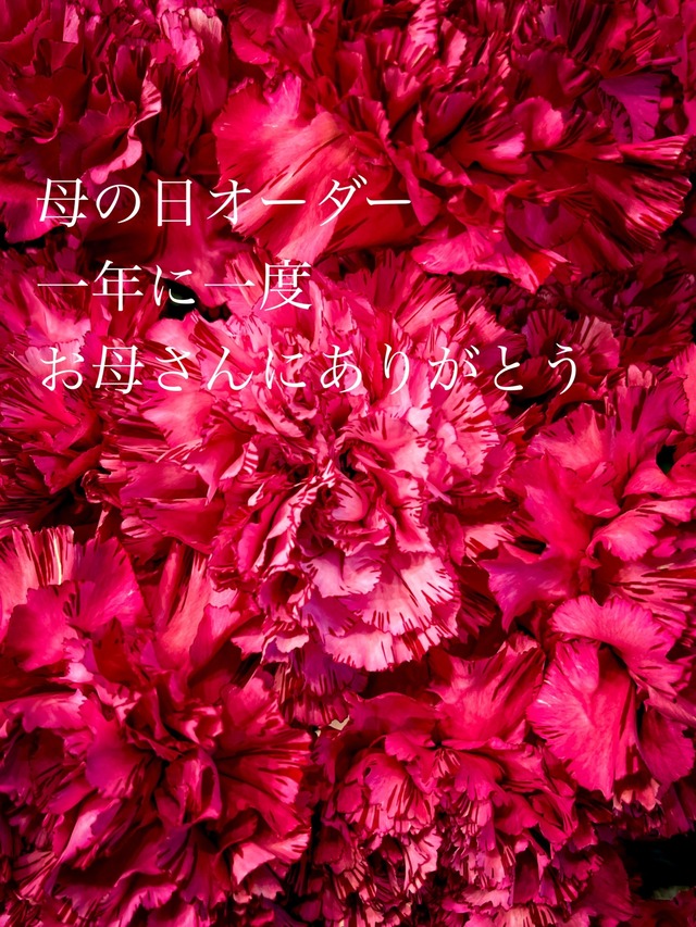 （ご配送）母の日 アレンジメント ichirinナチュラルスタイル（カゴに入ったお花）