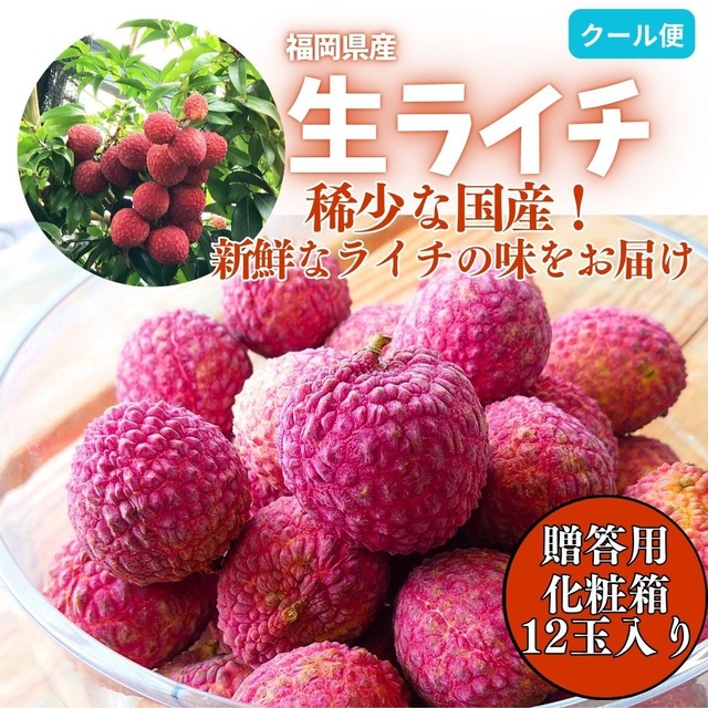夏の贅沢デザート！　希少厳選品　柴田農園の芳醇　ライチ　12個入り【数量・期間限定】
