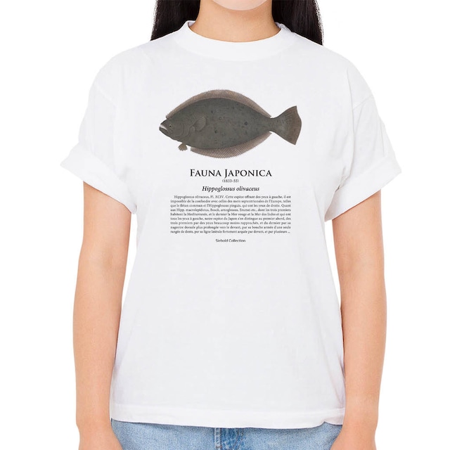 【ヒラメ】シーボルトコレクション魚譜Tシャツ（高解像・昇華プリント）