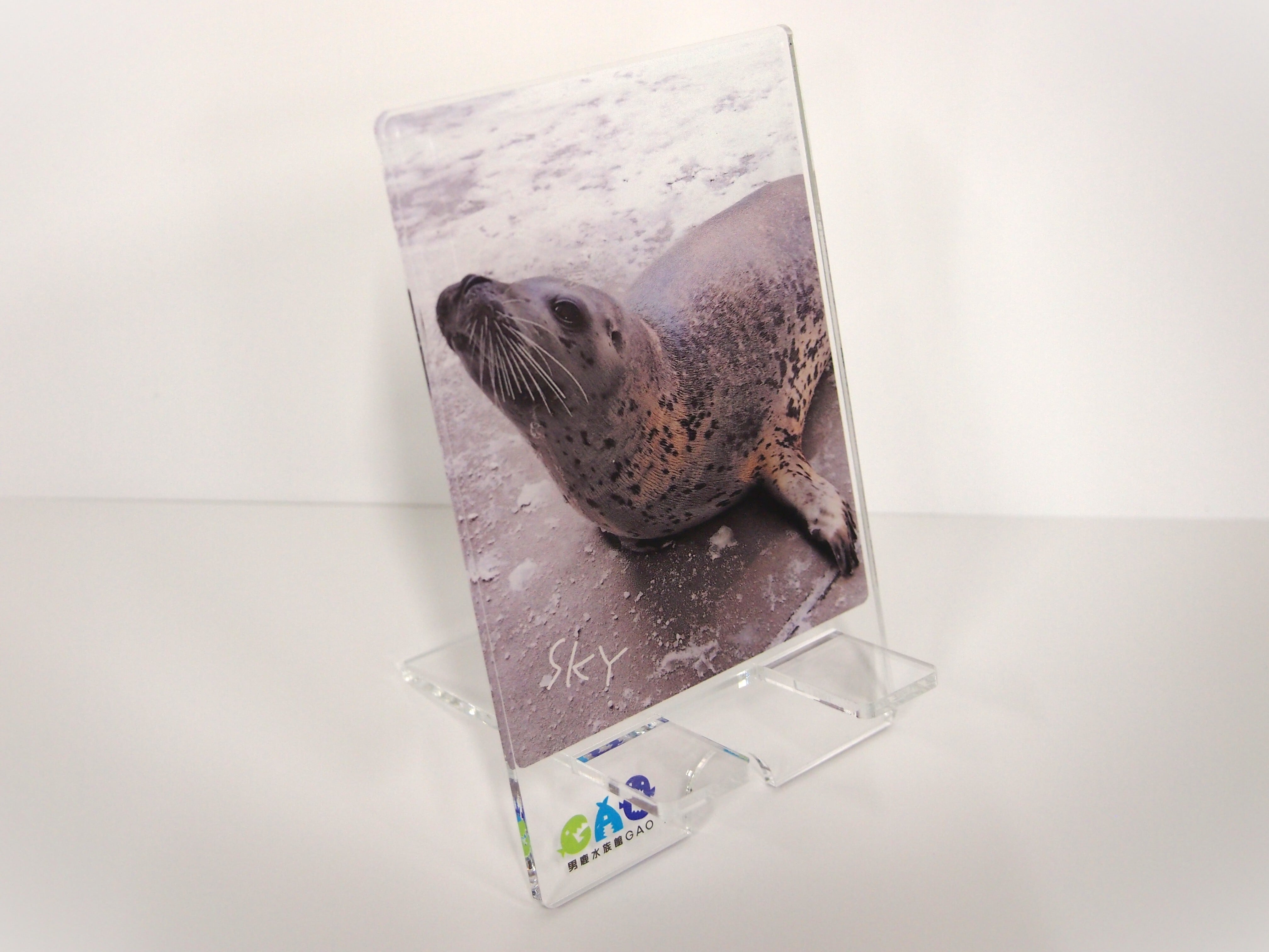 アクリルスマホスタンド ターボ・スカイ | 男鹿水族館GAO Online Shop
