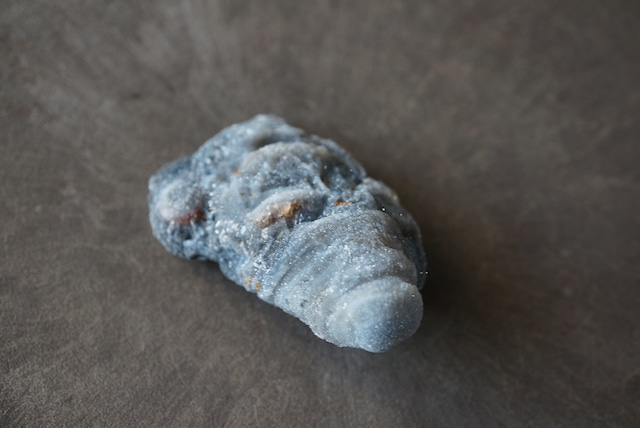 コンシャ・アゲート Concha Agate 895