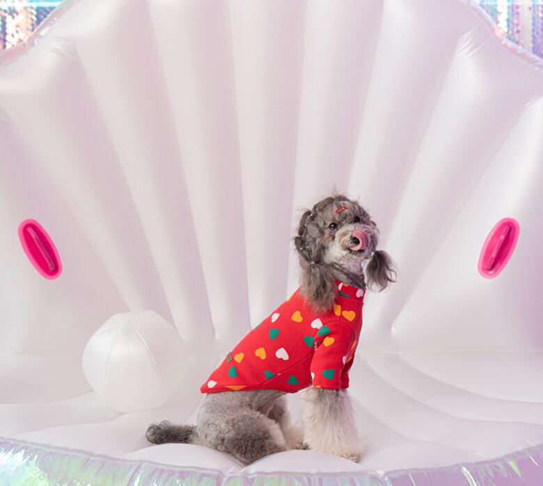 heart crew neck top S ~ 2XL 3color / 犬服 秋冬 新作 可愛い ワンコ服 ストレッチ 犬の服 長袖T シャツ ドッグウェア ハート柄 お揃い ハイネック 小型犬 中型犬 b45