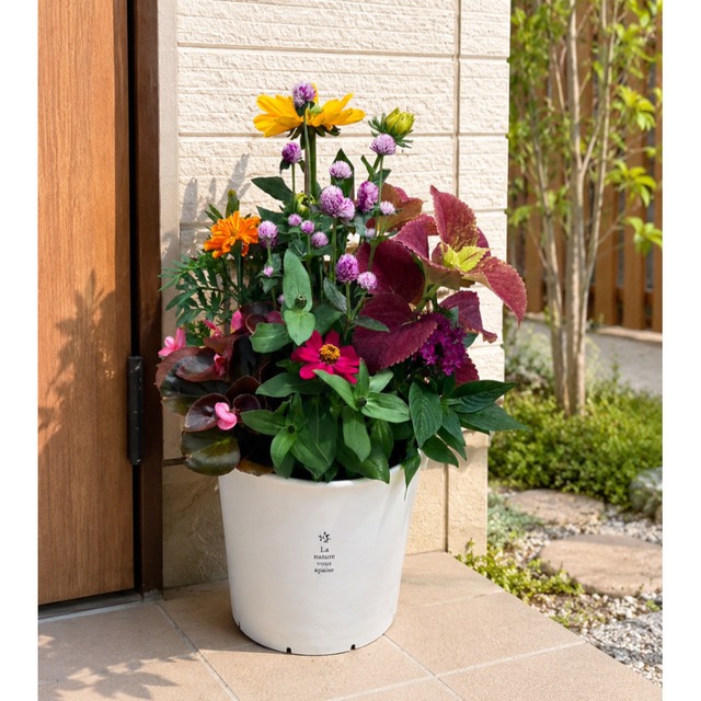 季節の寄せ植え  La nature ハンドリーポット 内径24cm  （ホワイト・4色展開）６〜7種類のお花で構成 鉢植え ラッピング不可 ギフトメッセージOK