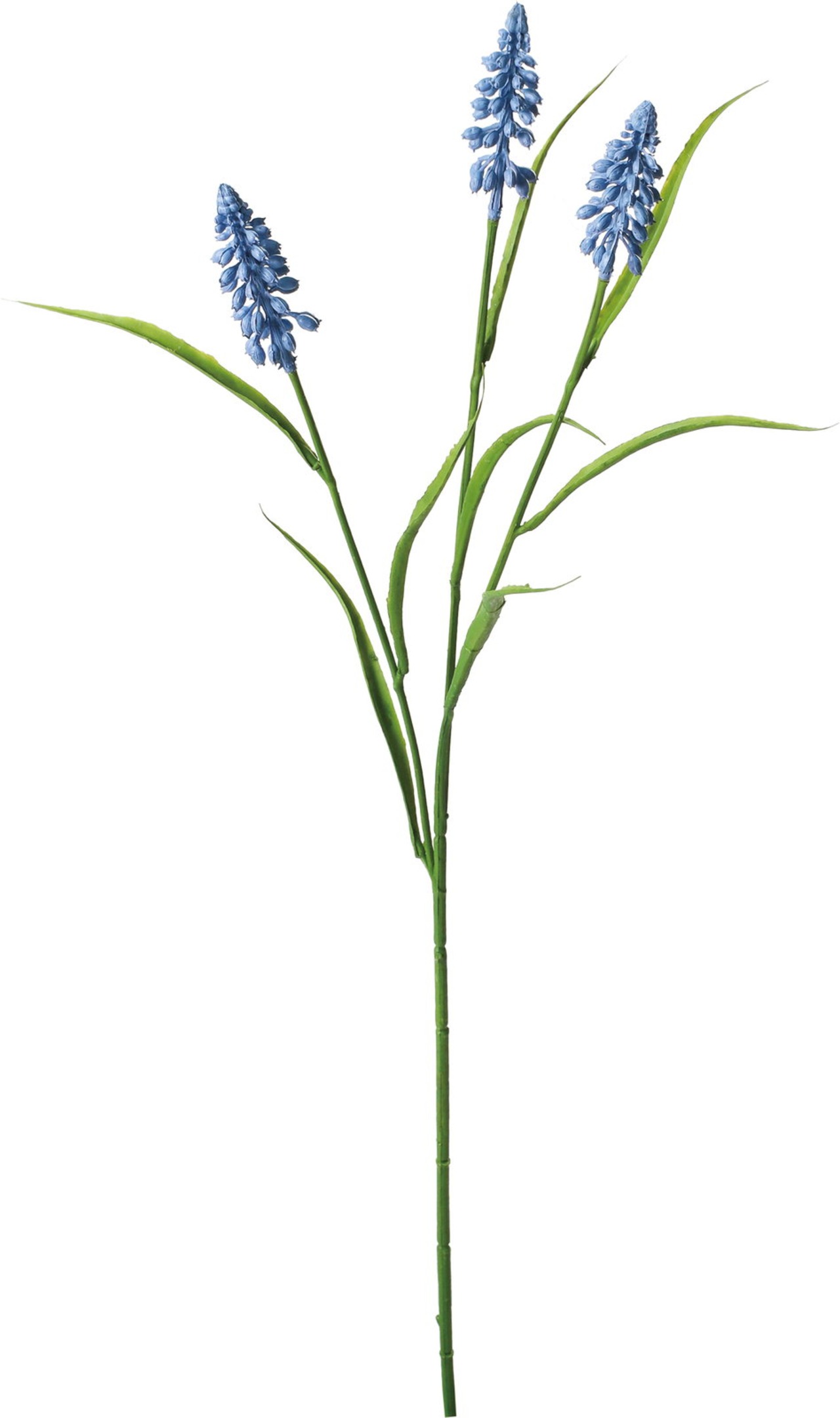 ムスカリスプレー　FA-7397 BLU　4961823470042