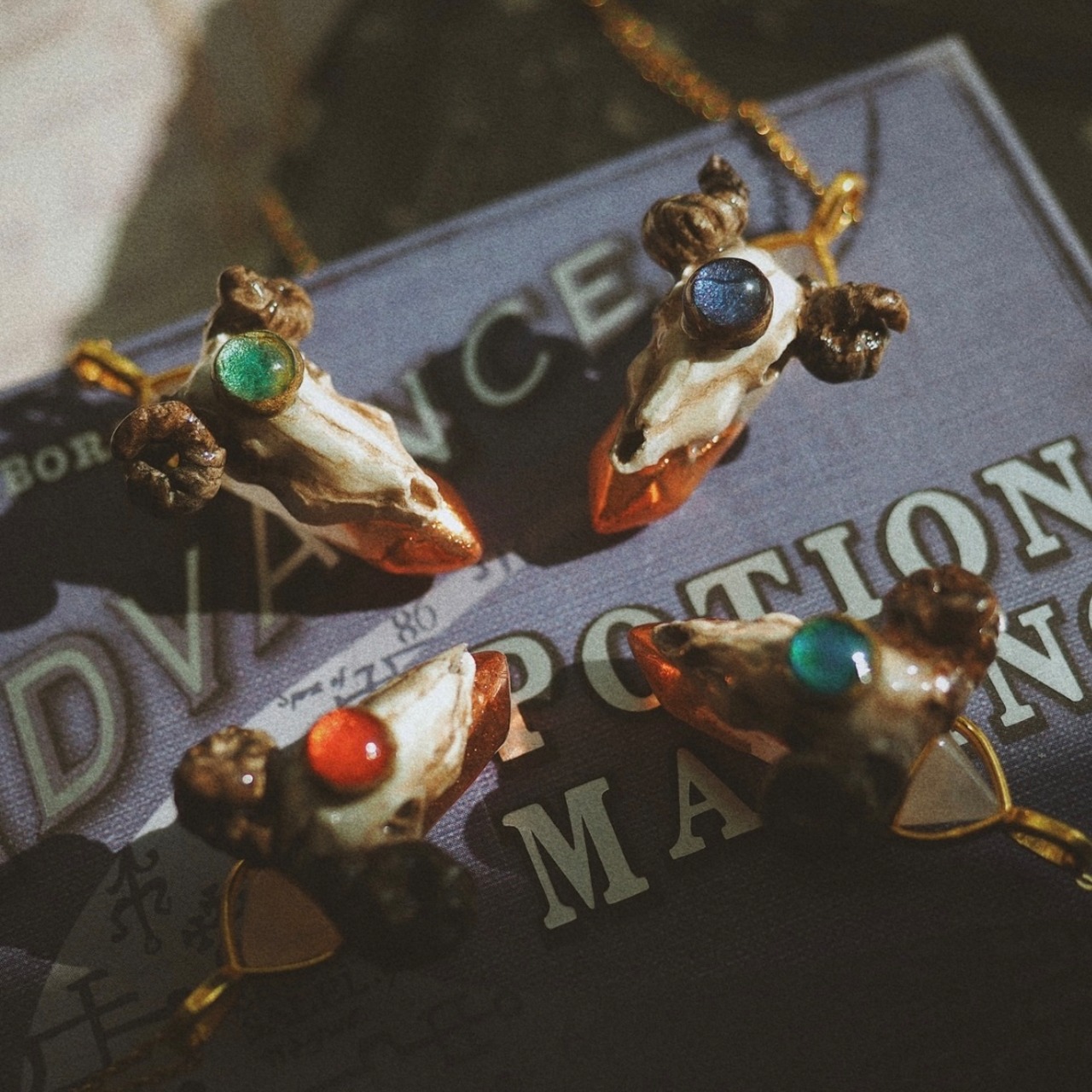 look beyond the beyond on a cow's cranium