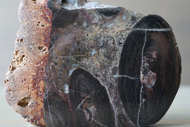 ストロマトライト  Stromatolite 756