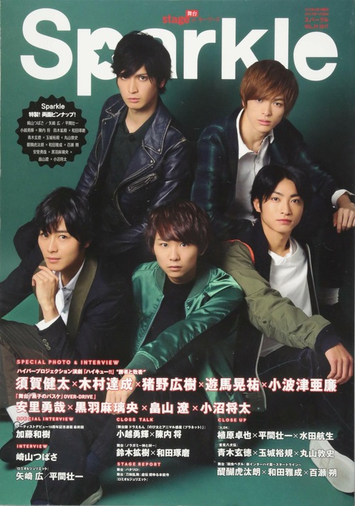 Sparkle vol.29