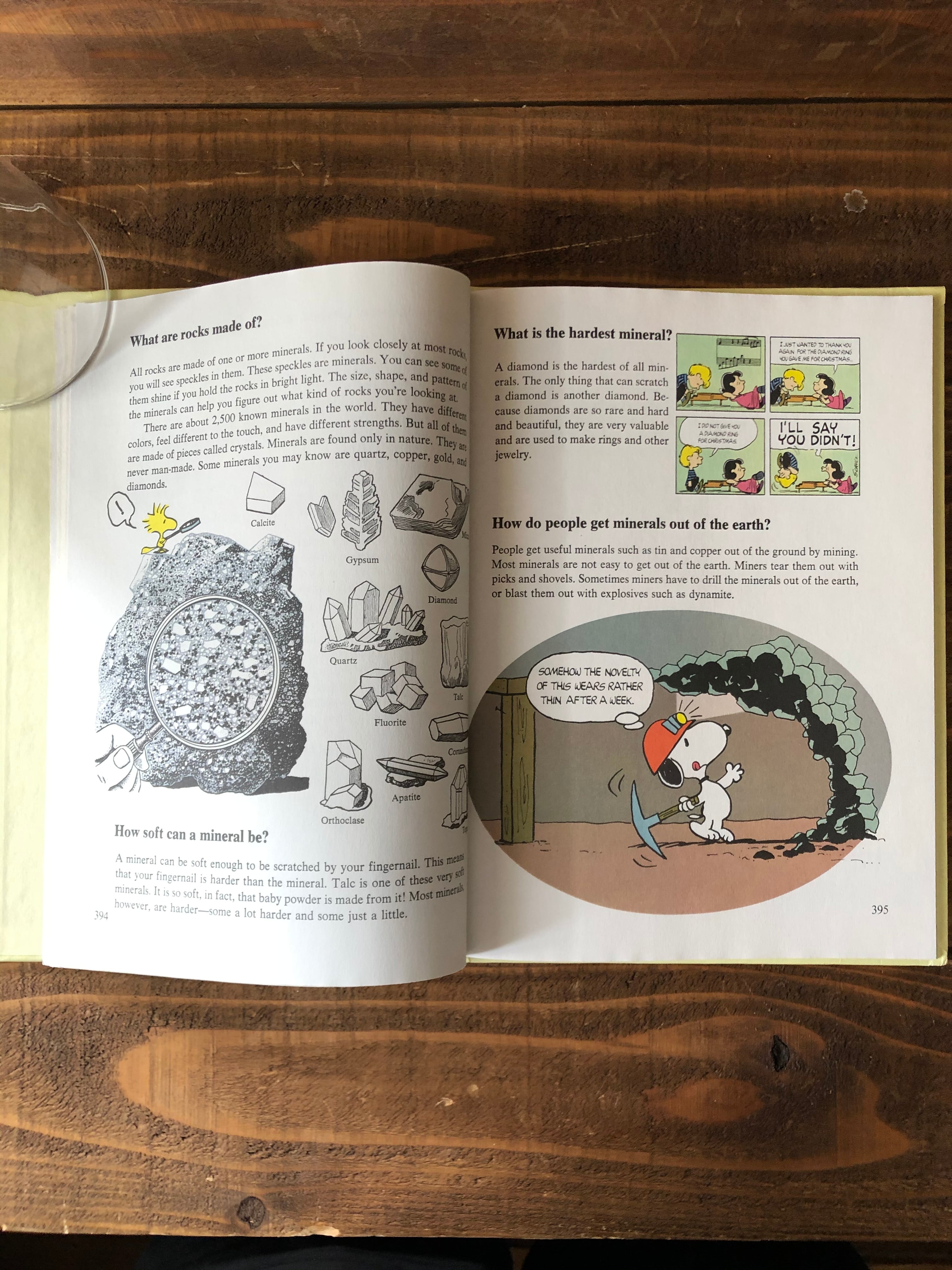 VINTAGE SNOOPY BOOK /チャーリーブラウン スヌーピー 百科事典 絵本
