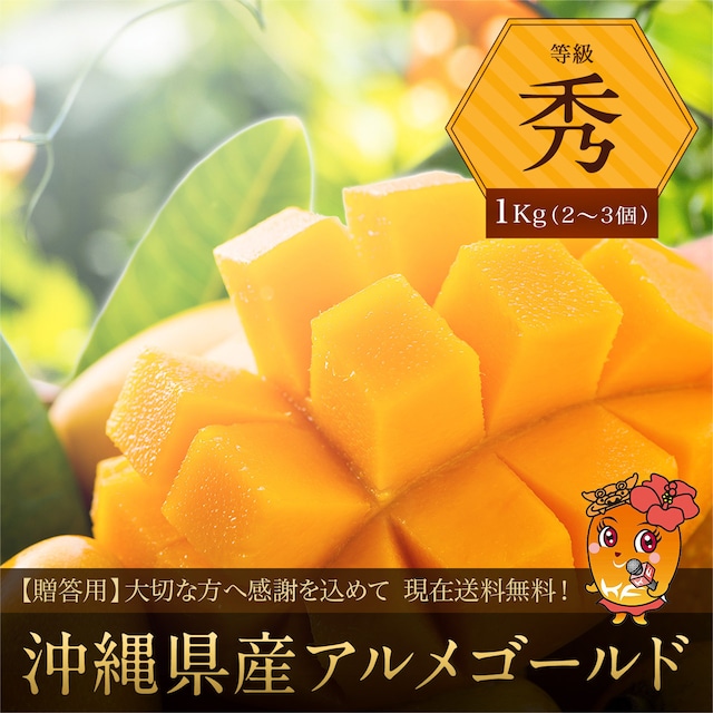 【秀品１kg】沖縄県産アルメゴールド（アップルマンゴー２～３玉）