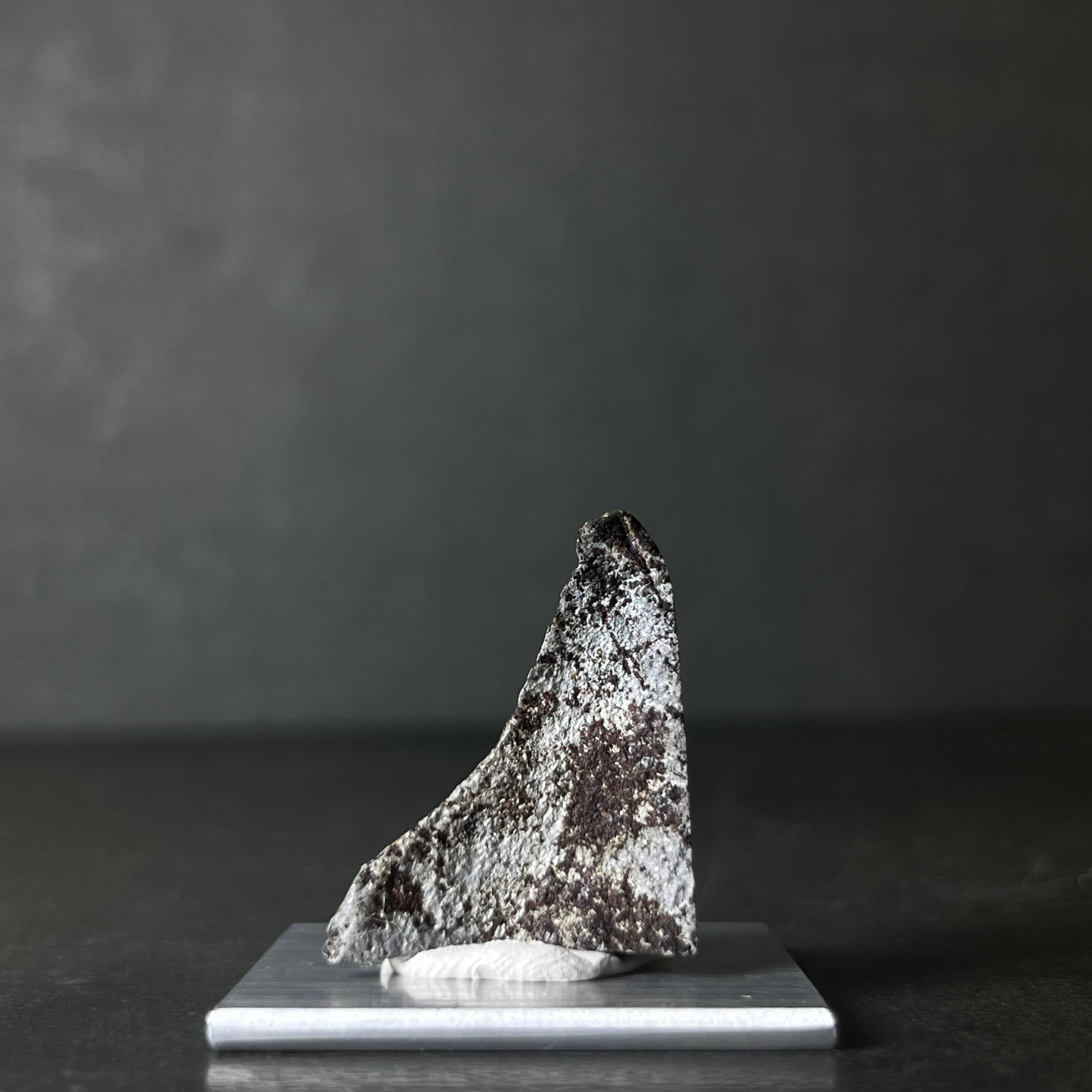 シホーテアリン隕石 Shikhote Alin Meteorite 26092904 | 【隕石屋