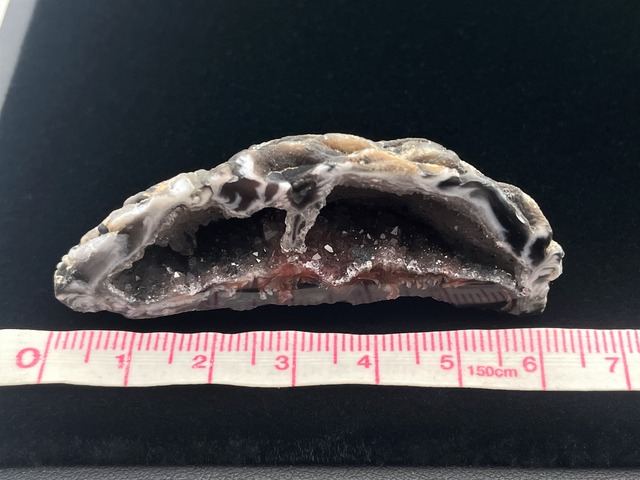 オープンジオード