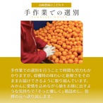 完熟アルギットみかん 約3kg（極早生）