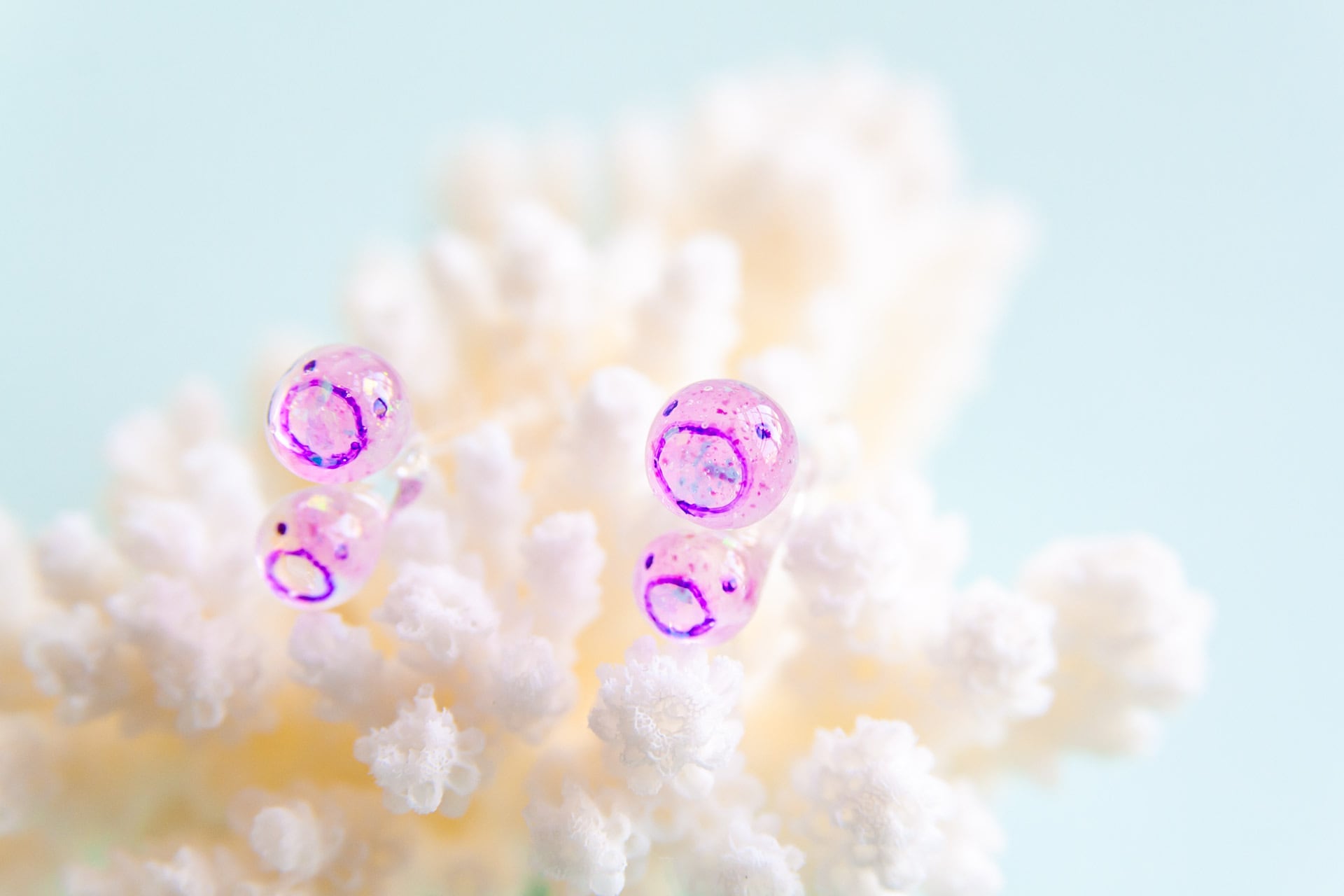 カールおじさんホヤ(ふたつぶ)