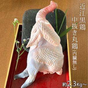 丸鶏 近江黒鶏 中抜き 内臓無し 【1羽 約4,447円】約2.3Kg～ 不定貫 Kgあたり1,744円で再計算 滋賀県産 地鶏 産地直送 おうみくろどり 国産 若鳥 鶏肉 冷蔵