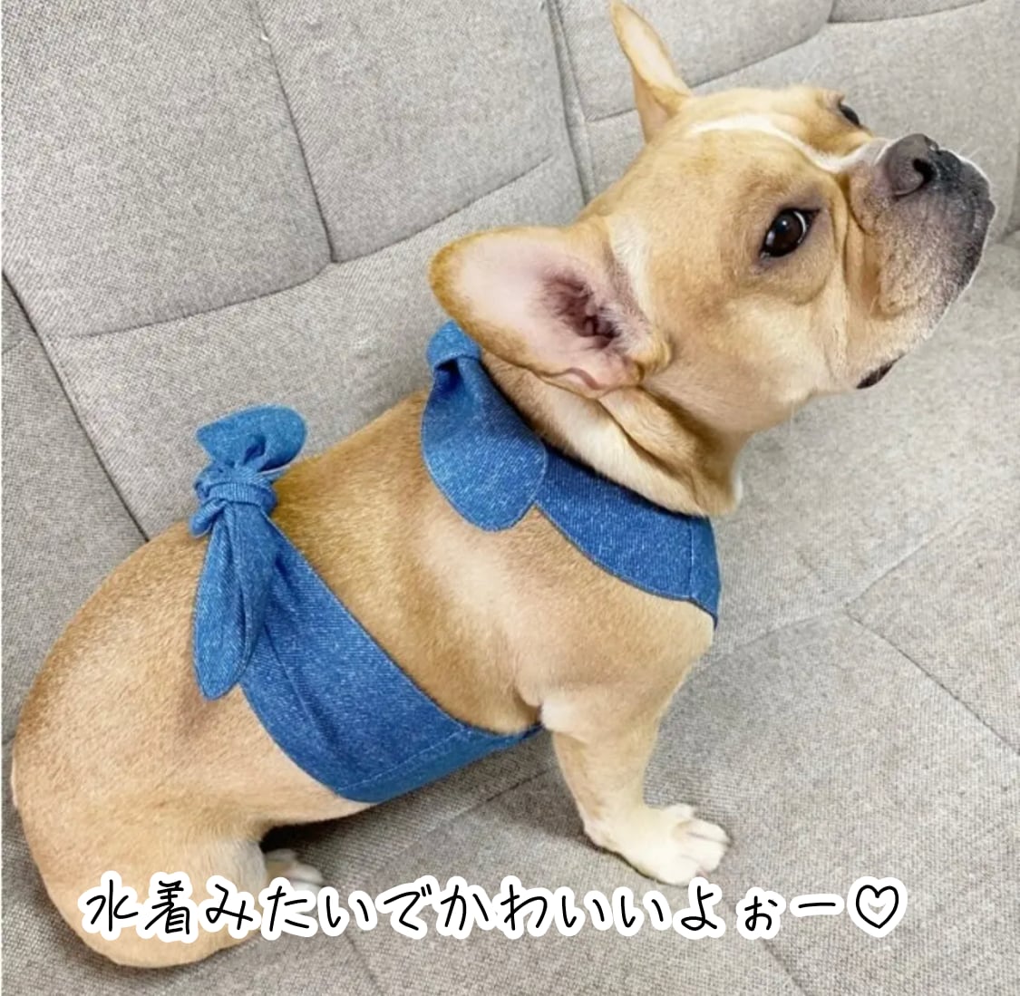 夏生地 確認用ページ④ 犬服 フレブル 小型犬 ハンドメイド｜犬服 