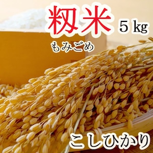 新米！こしひかり【 籾米 もみごめ 】 長野県産 ５ｋｇ ＜2023年産＞