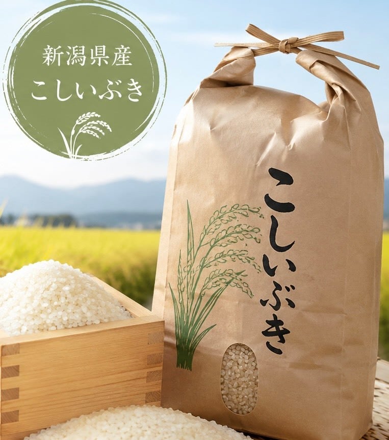 令和7年産棚田育ちのヒヨクモチ10kg 新米 価格改定 第二弾 【メーカー