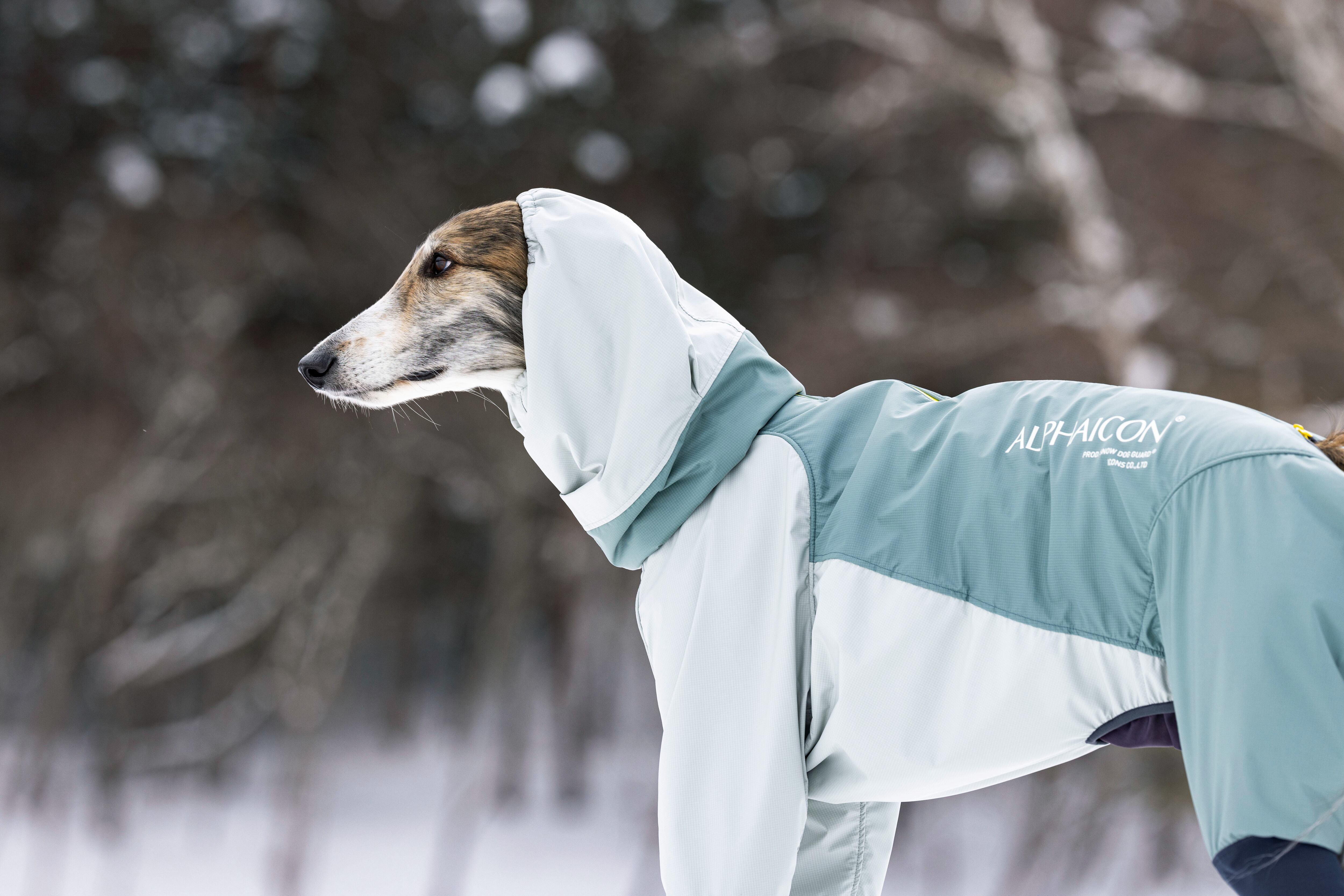 SNOWDOGGUARD ALPHAICON 酔っ払い XL アルファアイコン 