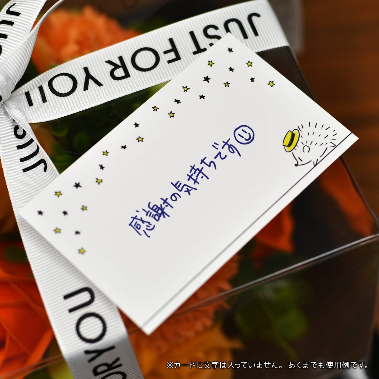 夢と希望のハリネズミ／メッセージカード | STYLE COCORO