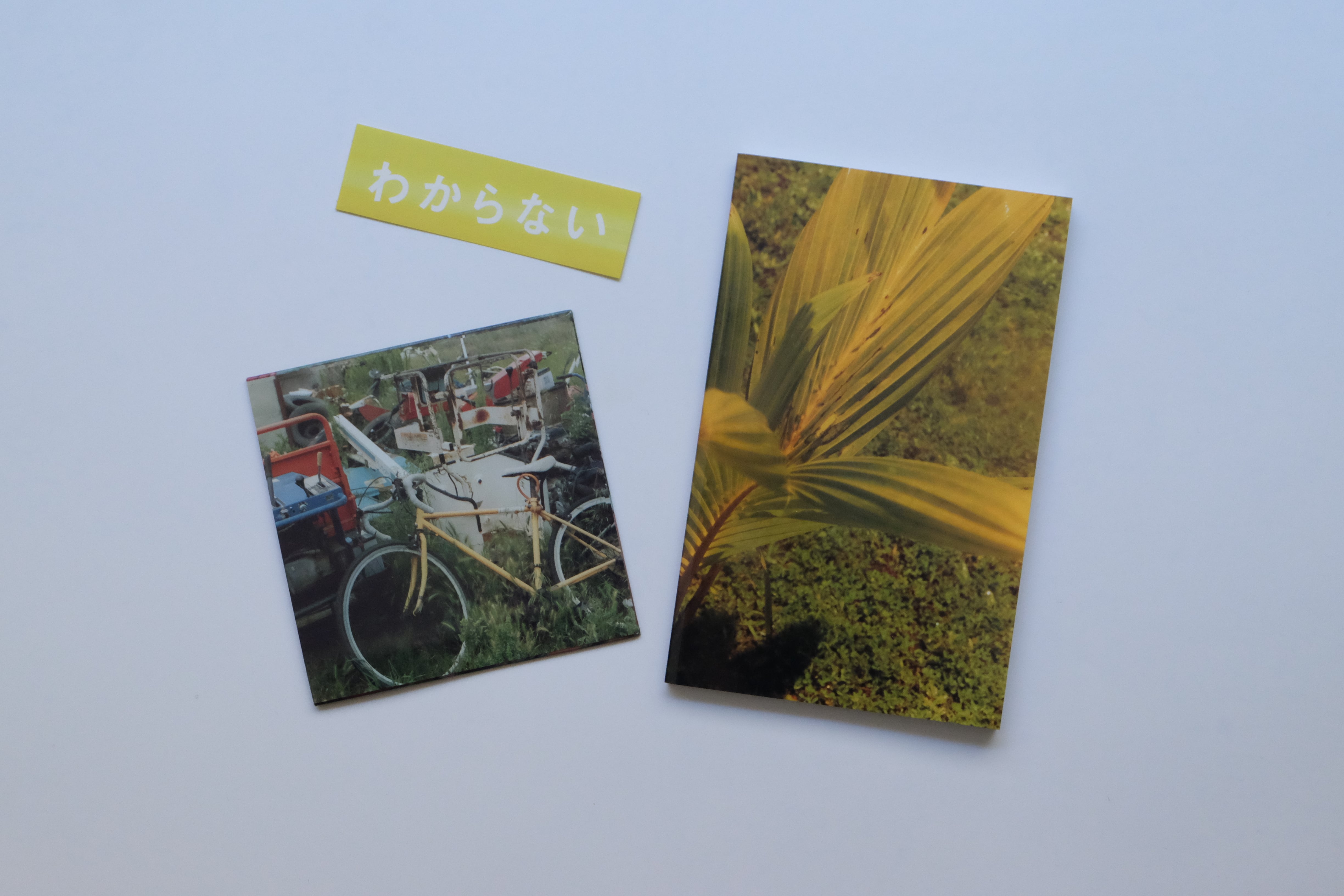 佐内正史 | Skool