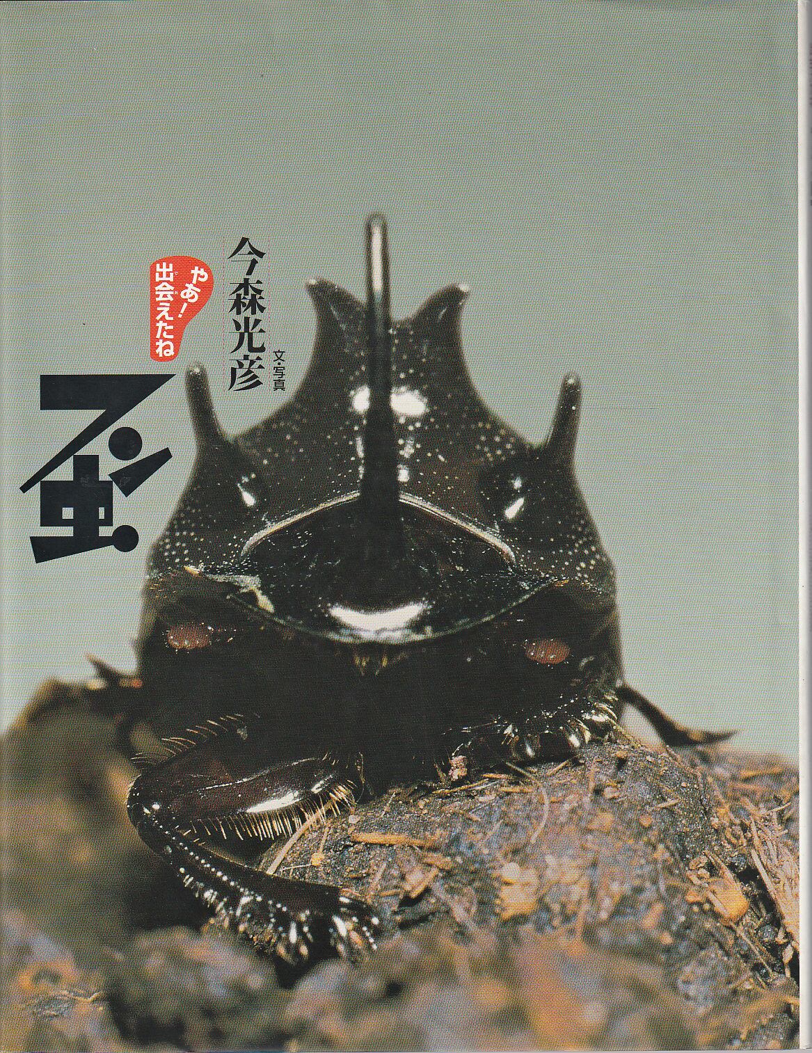 こどものとも （5才～6才） 2021年11月 788号「ゴリラ」 小風さち／文